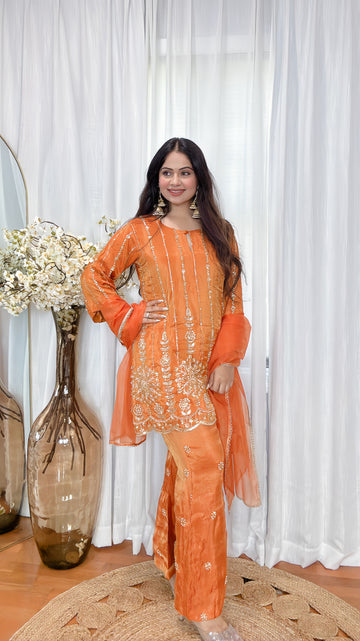 Tissue Shimmer Hand Embroidered Suit