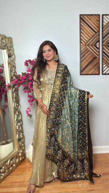 Mayukhi Grey & Black Gharchola Mirror Work Dupatta