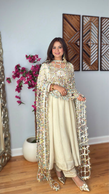 Avni Multicolor Embellished Net Dupatta