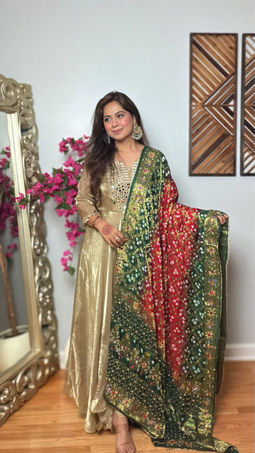 Ojasika Gharchola Mirror Work Dupatta