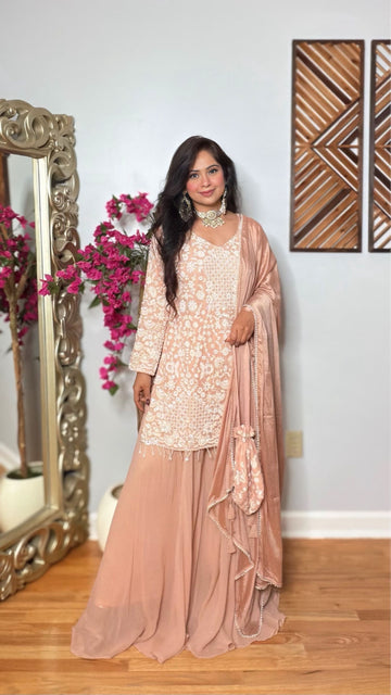 Avni Embroidered Palazzo Suit