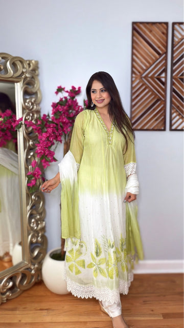 Limeira Grace Anarkali Set