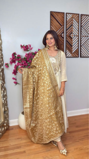 Pranika Tissue Shimmer Dupatta